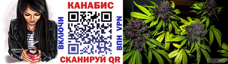 МАРИХУАНА SATIVA & INDICA  дарнет шоп  Никольское 